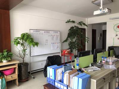 蘭州金科財務咨詢服務 票據信息咨詢的專業解析與價值